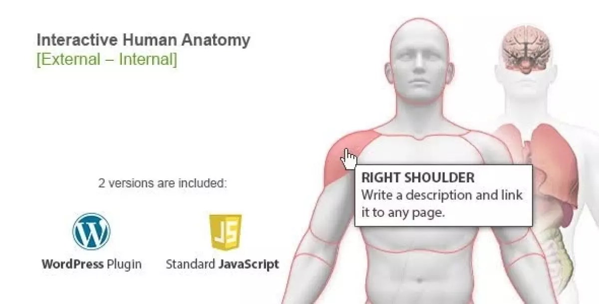 [WISH] Interactive Human Anatomy - WordPress