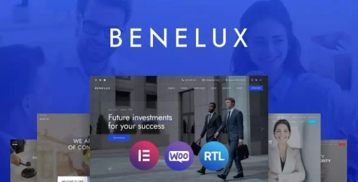 [WISH] Benelux - Business &amp; Finance Consulting WordPress