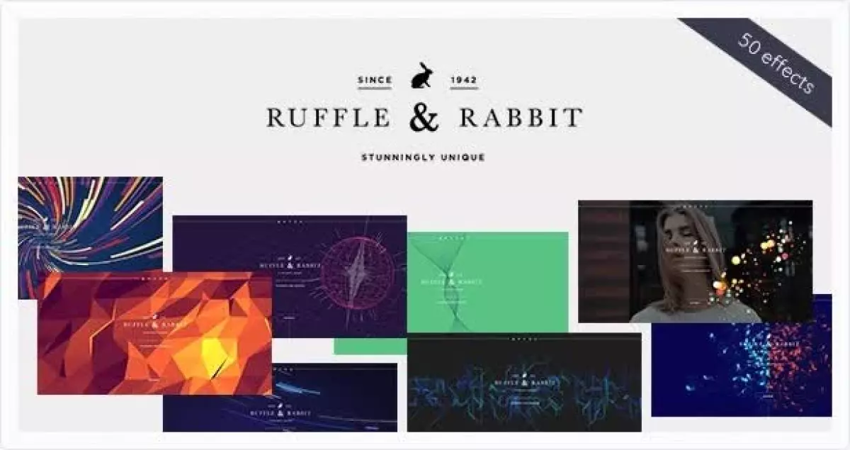 Rabbit - Exclusive Coming Soon WordPress Theme