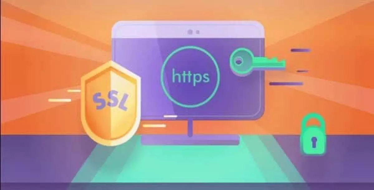 Really Simple SSL Pro  7.2.5