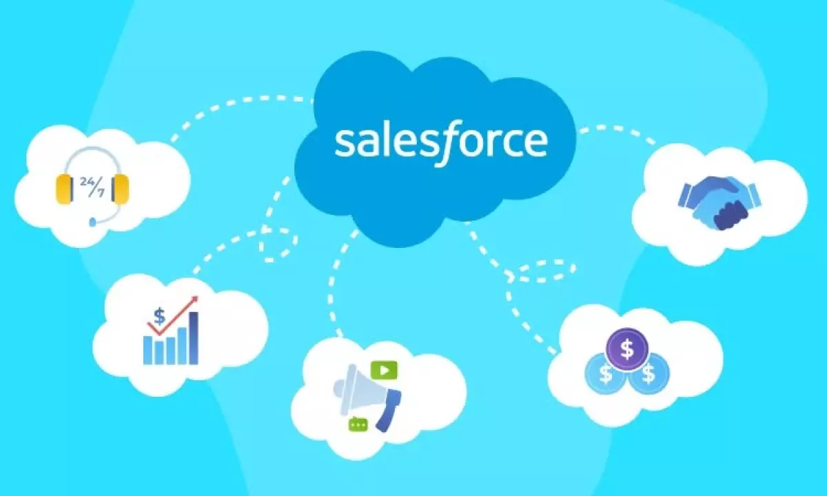 Everest Forms - Salesforce