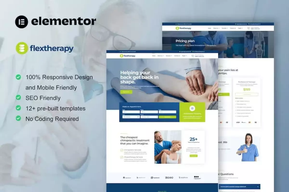 FlexTherapy - Chiropractic &amp; Physiotherapy Elementor Template