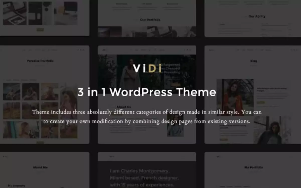 ViDi - 3 in 1 Creative WordPress Theme