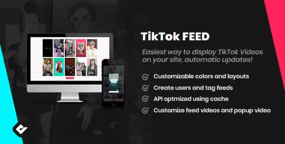 [WISH] WordPress TikTok