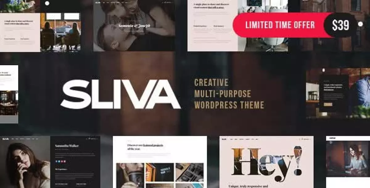 Sliva - Responsive Multi-Purpose Theme 1.0