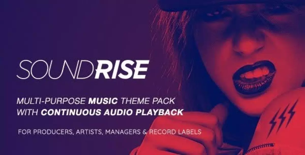 SoundRise - Artists, Producers and Record Labels WordPress Theme 1.5.7