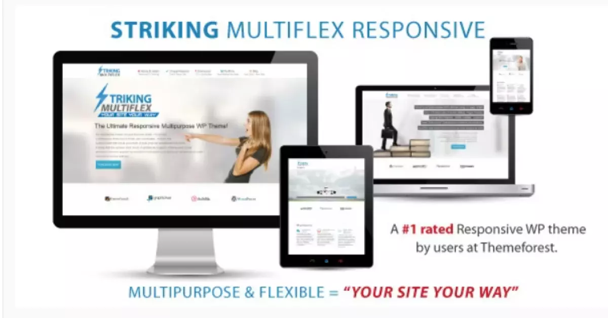 Striking - MultiFlex &amp; Ecommerce Responsive WP Theme