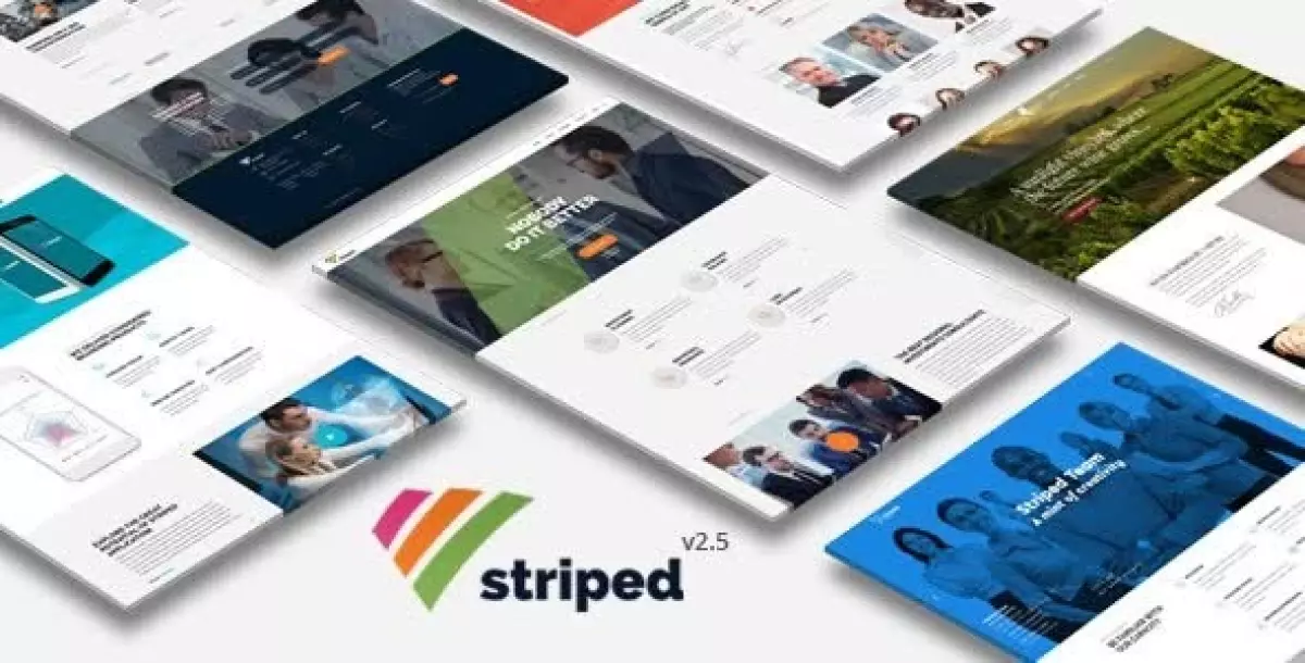 Striped - Multipurpose Business and Corporate Theme 2.8