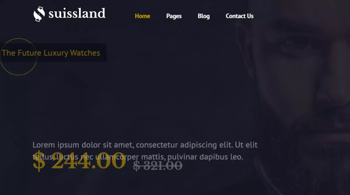 Suissland - Watch Shop Elementor Template Kit