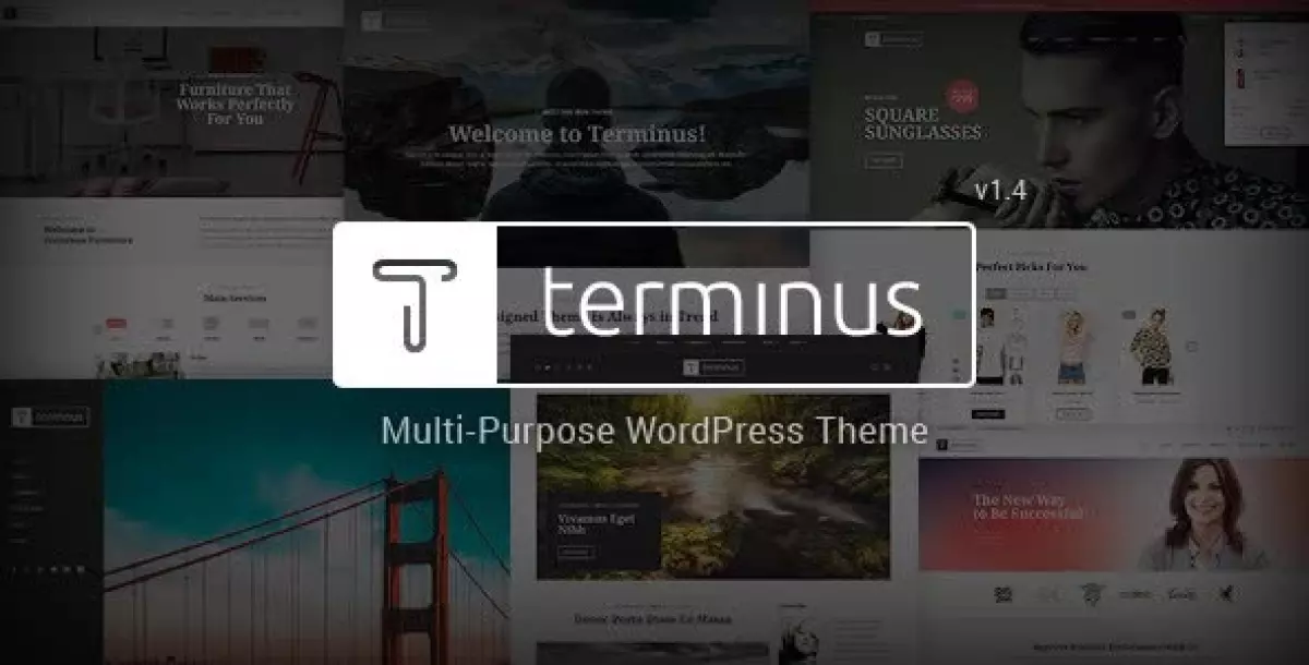 Terminus - Responsive Multi-Purpose WordPress Theme 1.4.4