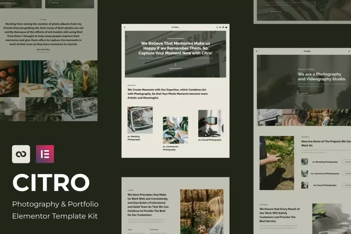 Citro - Photography &amp; Portolio Elementor Template