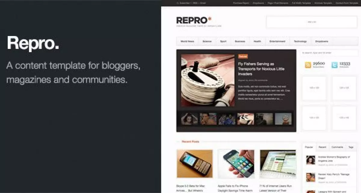 ThemeZilla Repro WordPress Theme