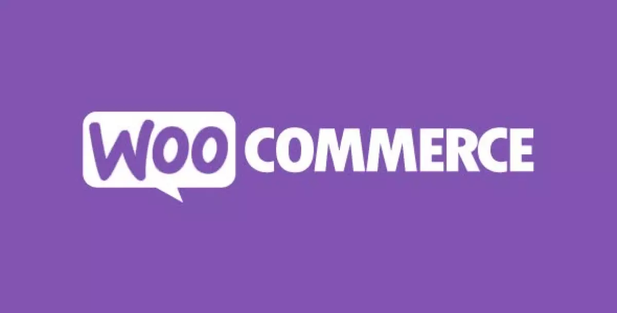 WooCommerce Instagram  4.6.0