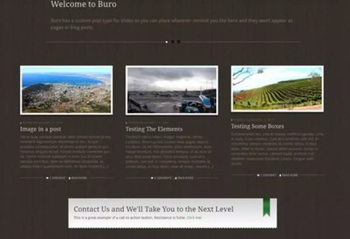 WooThemes Buro Premium Theme