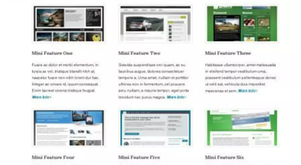 WooThemes Feature Pitch Premium Theme