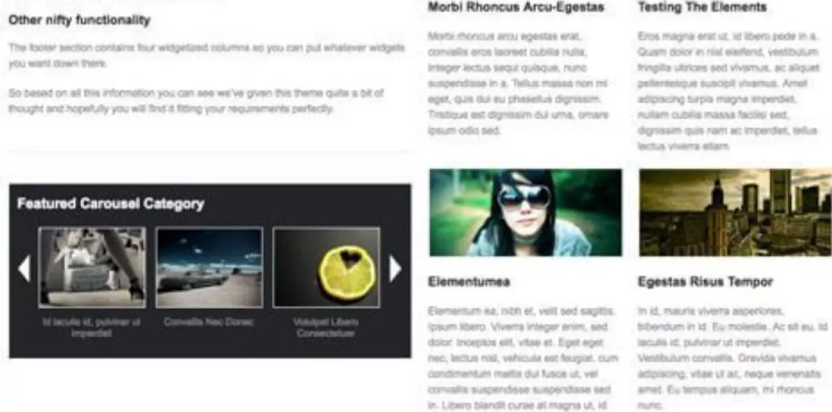 WooThemes Productum Premium Theme