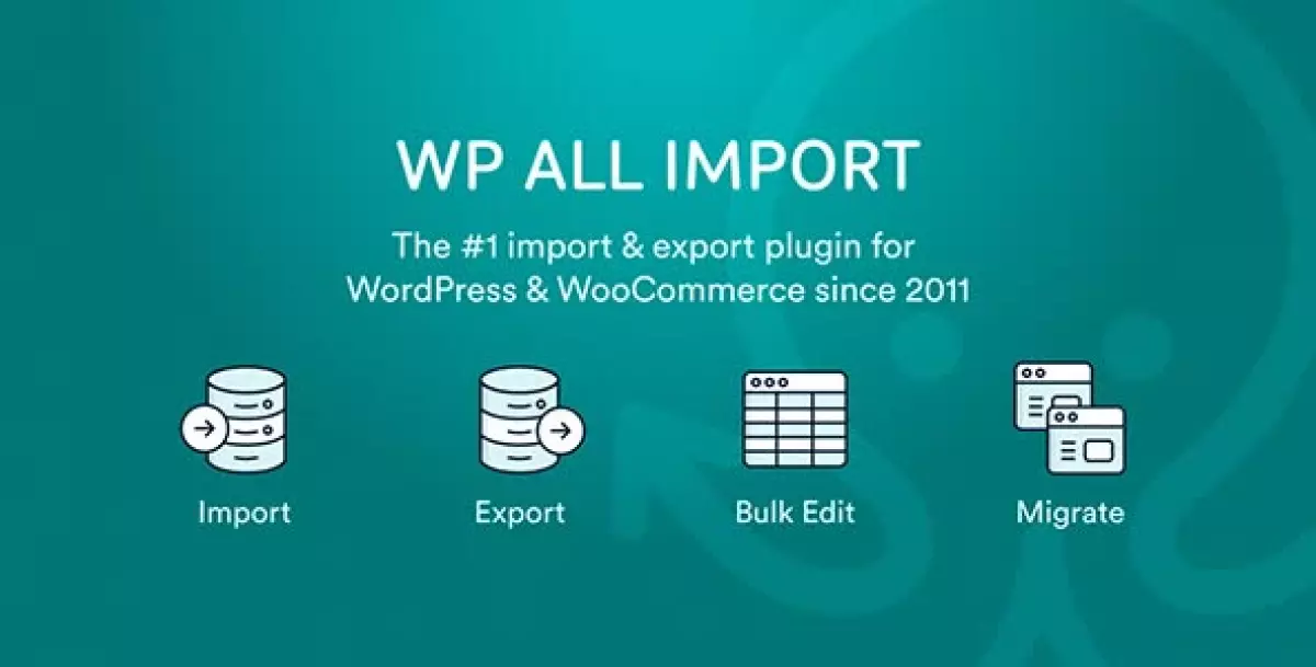 WP All Import – Import any XML or CSV File 4.8.1