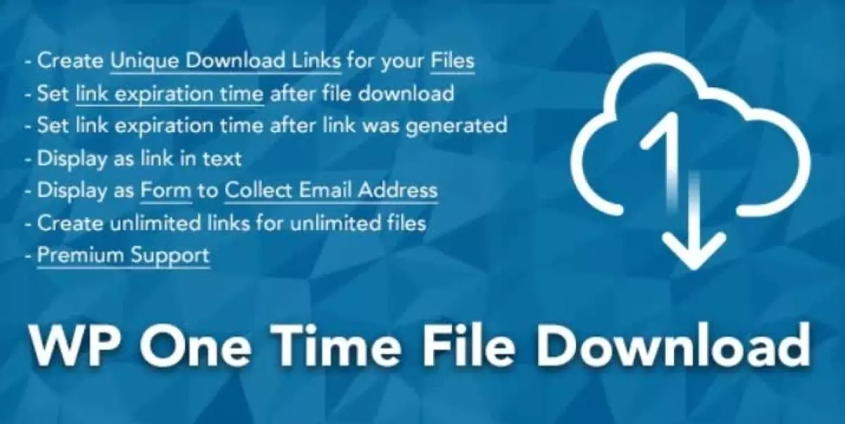 WP One Time File Download - Unique Link Generator WordPress Plugin 2.6.4