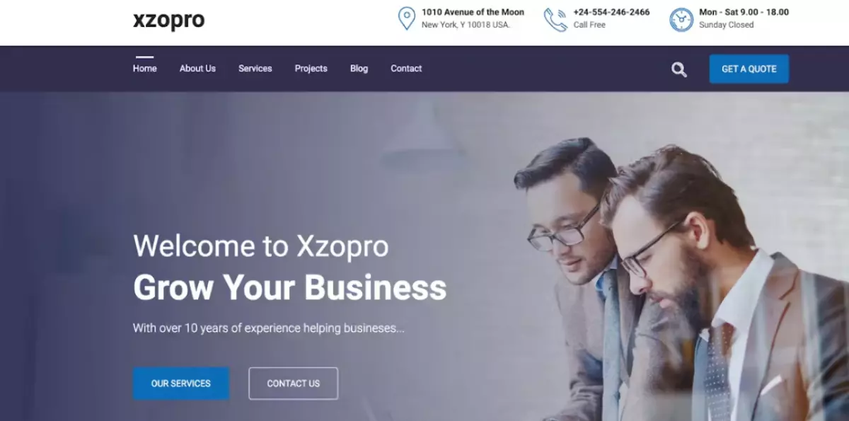 Xzopro – Finance And Business WordPress Theme