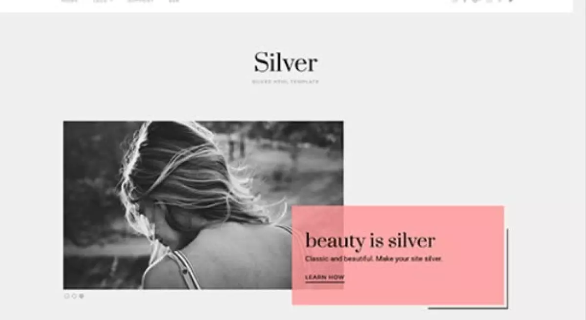 Theme Junkie – Silver