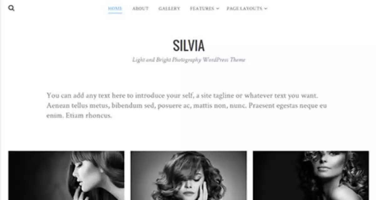 Theme Junkie – Silvia