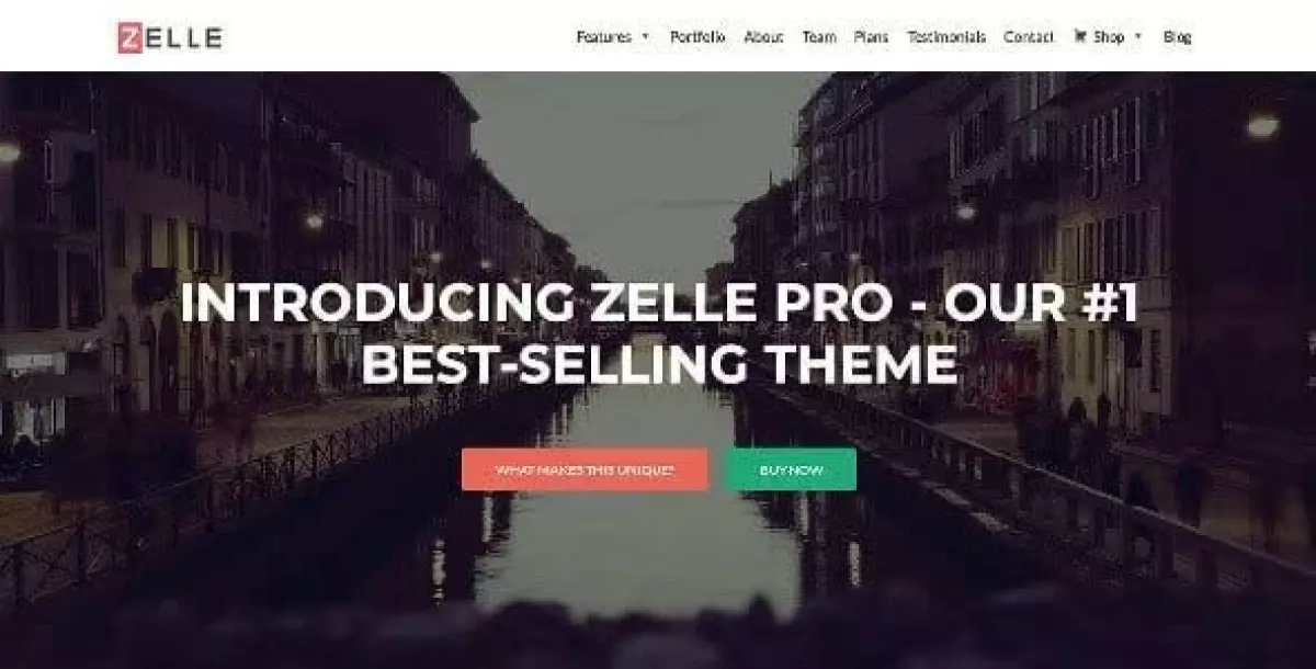 Zelle Pro (Zerif Pro)  2.1.6