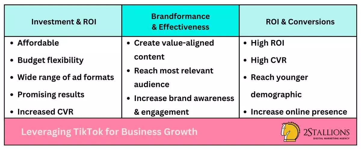 Leveraging TikTok for Business Growth | 2Stallions