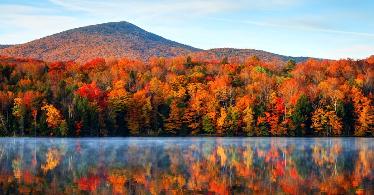 fall
