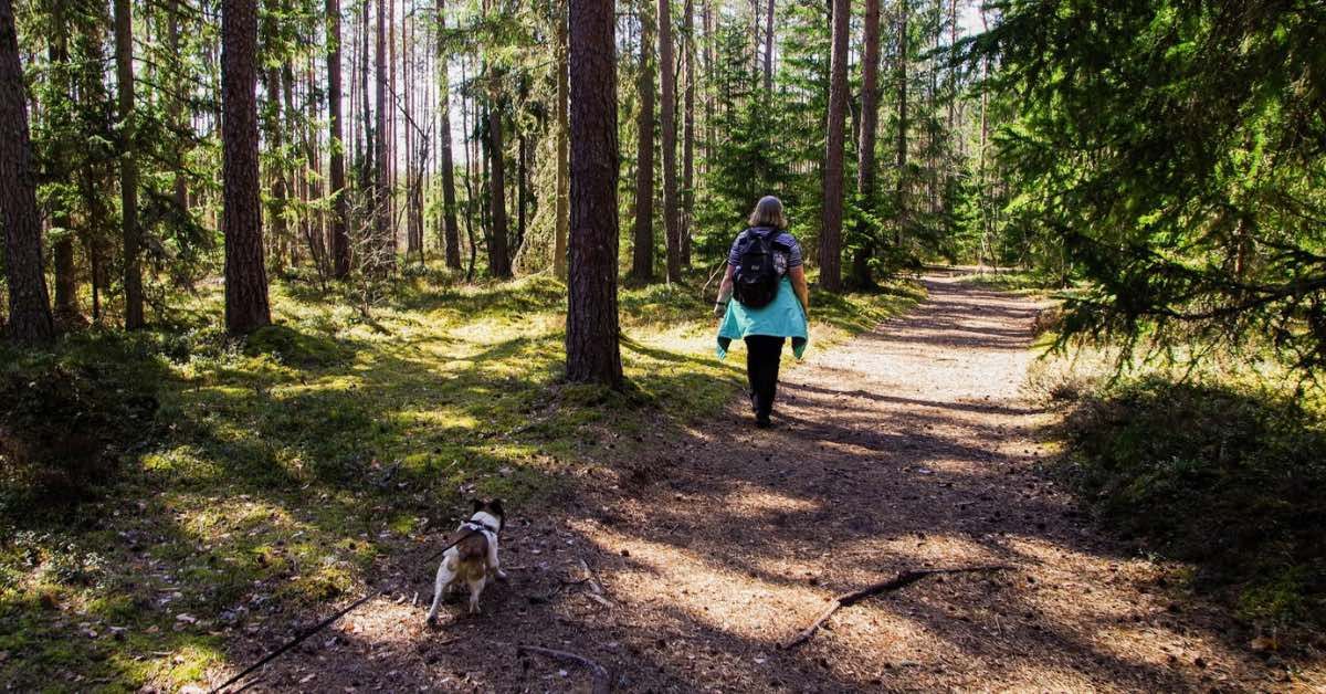 A Guide To The Best Hiking Trails In Southern Georgian Bay