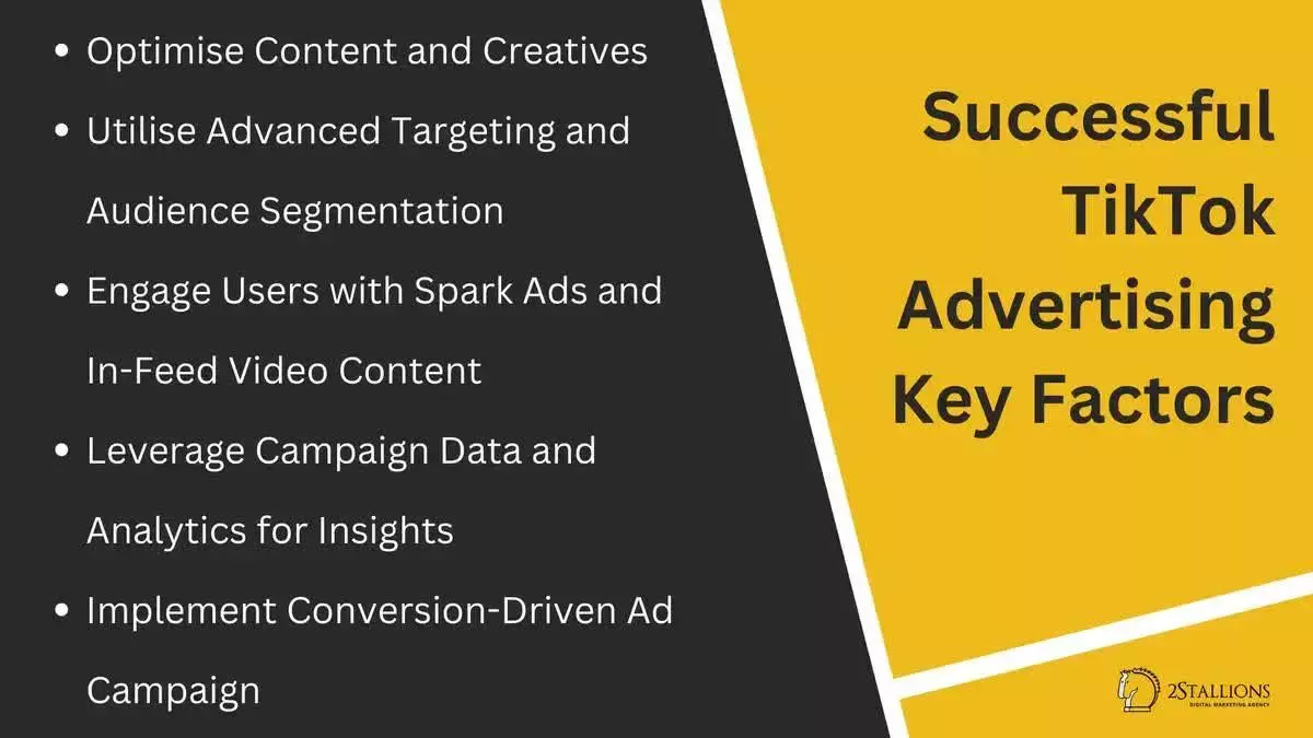 Key Factors for Successful TikTok Advertising | 2Stallions