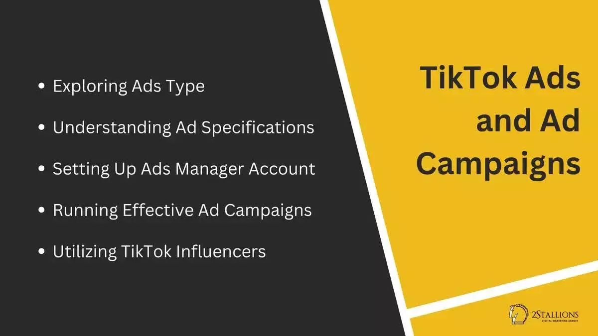 Types of TikTok Ads and Ad Campaigns | 2Stallions