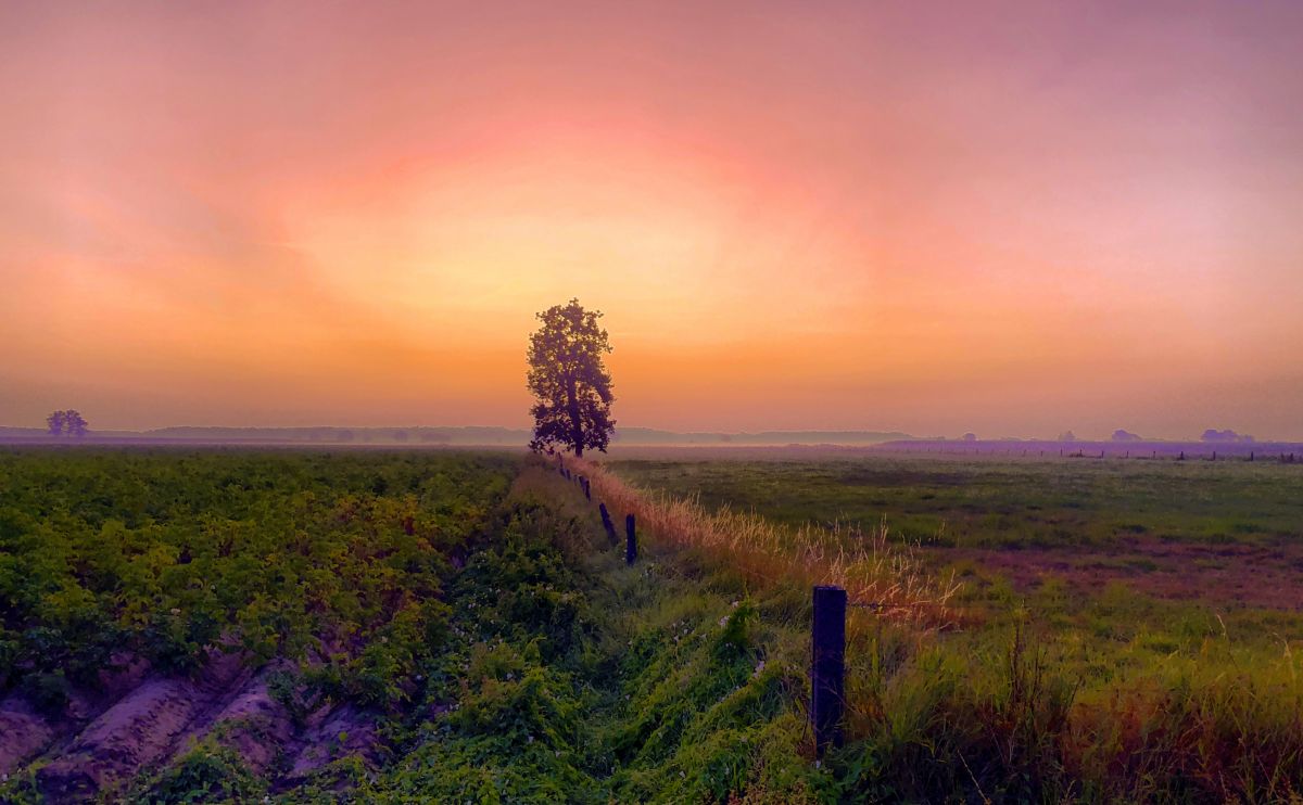 Orange red dramatic glow in a dawning sunrise sky over a Countryside single tree farming landscape