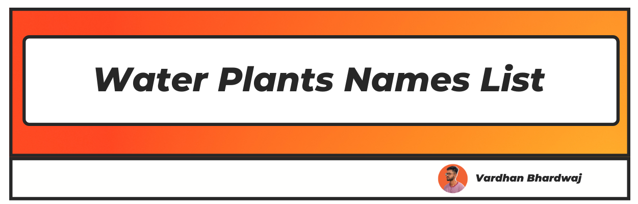 Water plants name