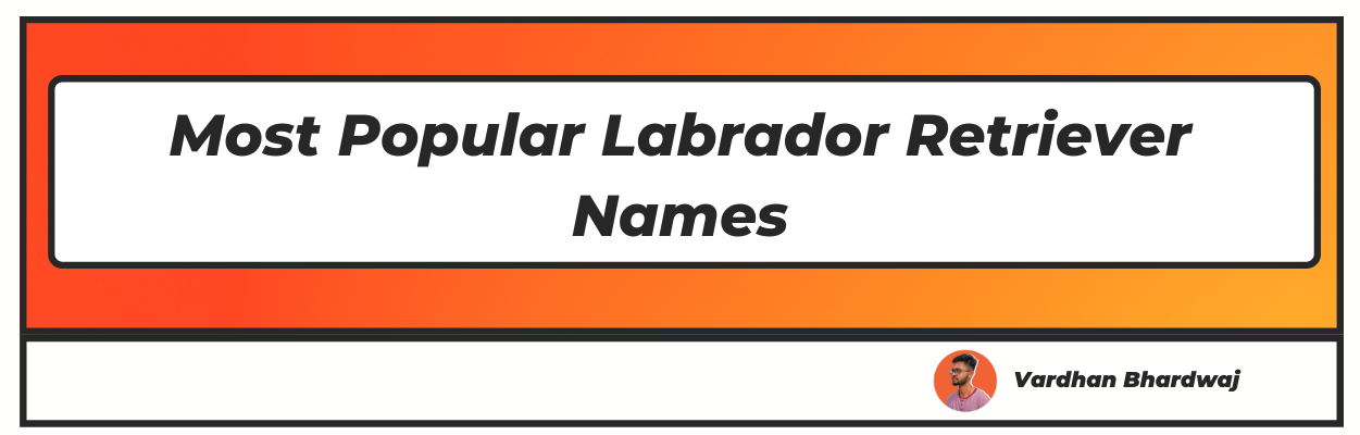 Most Popular Labrador Retriever Names