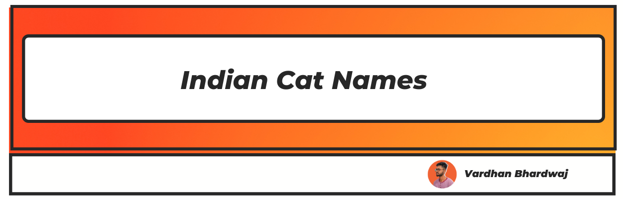 50-indian-cat-names-for-female-male-and-gender-neutral-with-meaning