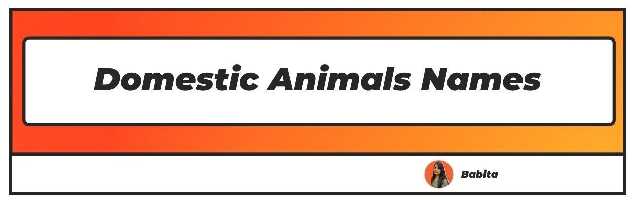 Domestic Animals Name |Check the full list