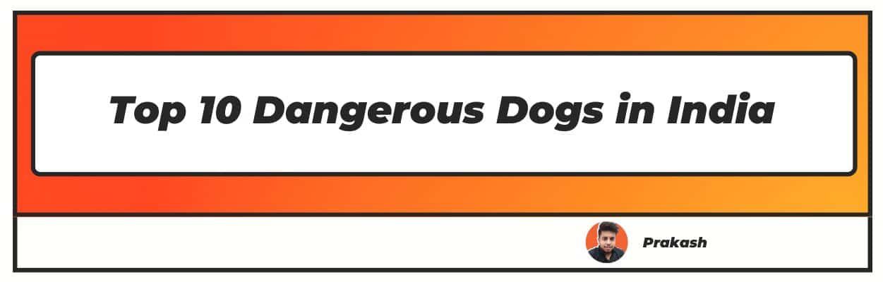 Top 10 Dangerous Dogs in India
