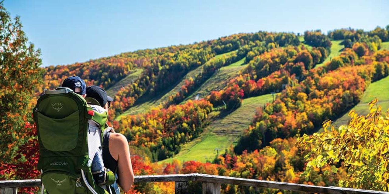 Devil’s Glen Provincial Park – Devil’s Playground