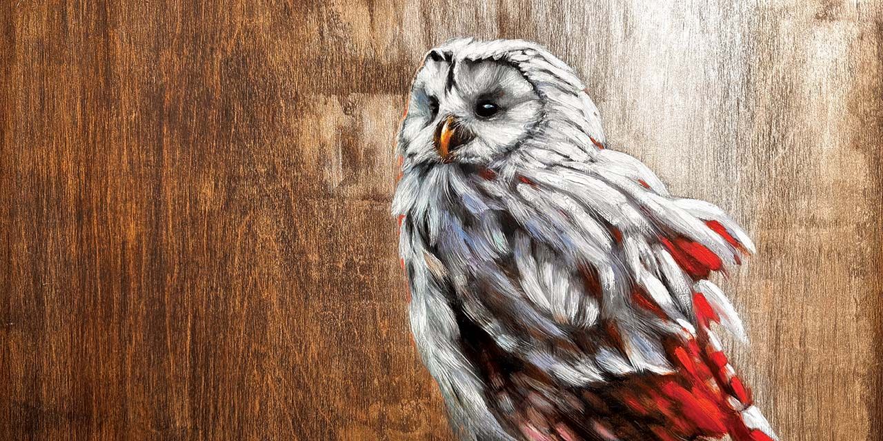 Deborah Masters: Ethereal, Tactile, Rich