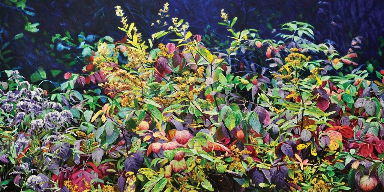 Noma Gallery: The Art of Place