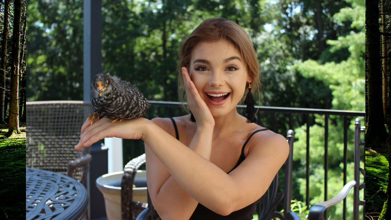 Photograph of current vegetarian with her pet chicken, Azalea.