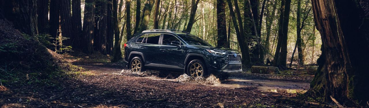 Most Fuel Efficient Toyota Models at Palmiero Toyota | Black color RAV4 driving in the forrest 