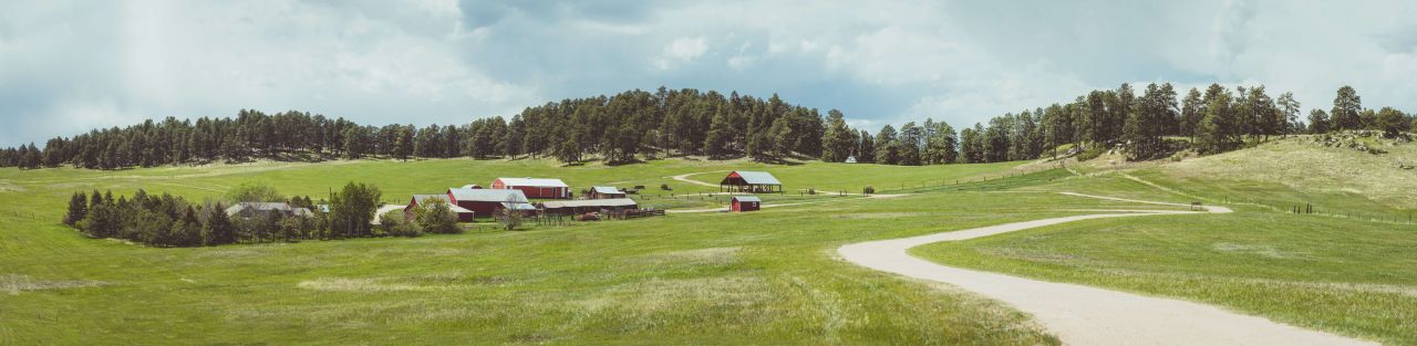 Rachel&BradWedding-