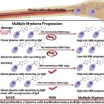 MULTIPLE MYELOMA: UNRAVELING PATHOGENESIS, CLINICAL MANIFESTATIONS, AND DIAGNOSTIC APPROACHES