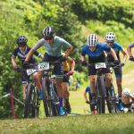 The Collingwood Collective: The Collective Shift