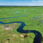 Minesing Wetlands – Everglades of the North