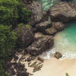 How to Travel to Australian Forest