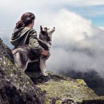 Playful Dog Can’t Get Enough Of Going Down The Slide