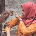 We’ve lost 3 billion birds since 1970 in North Side