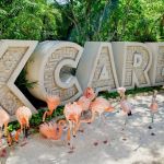 终极Xcaret旅游攻略2023